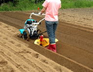 培土器 (畝立て器) クボタ トラクター 培土器 畝立器 畦立器